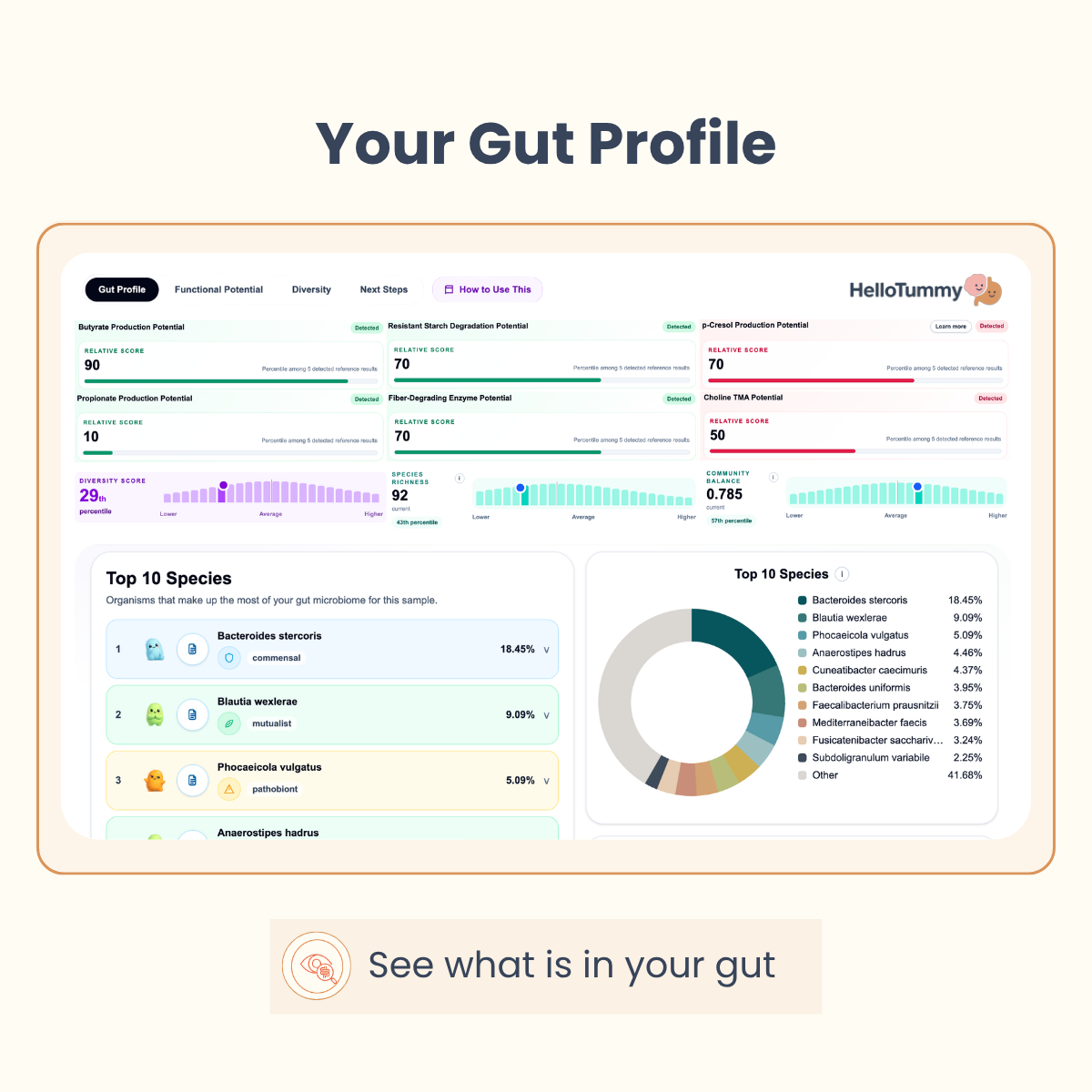 Gut Microbiome Test